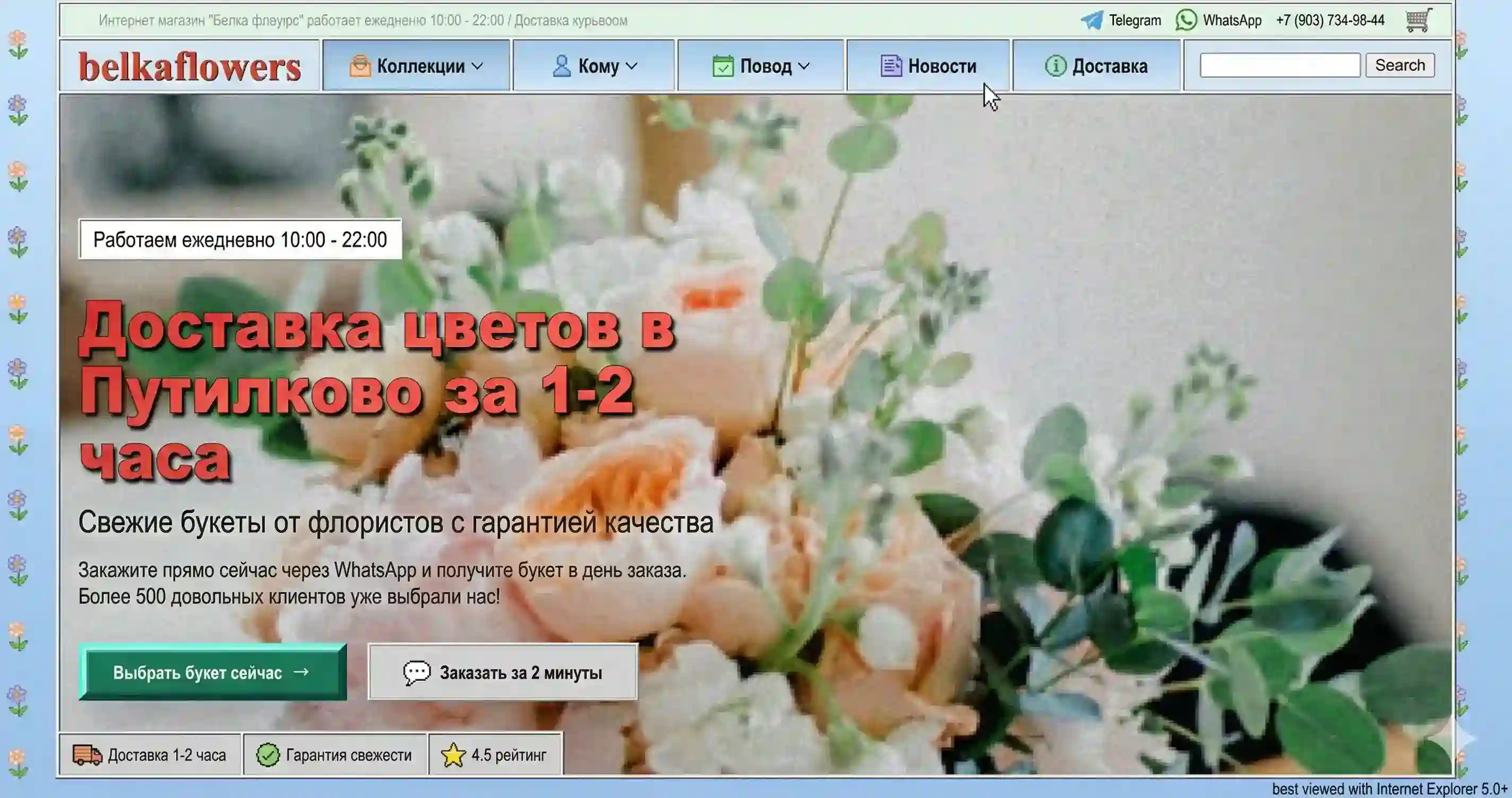 Сайт до разработки
